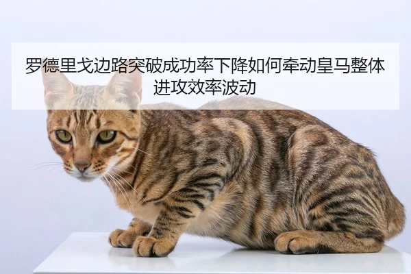 罗德里戈边路突破成功率下降如何牵动皇马整体进攻效率波动